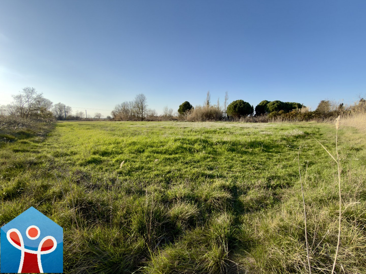 vente Terrain agricole Portiragnes - Photo 7