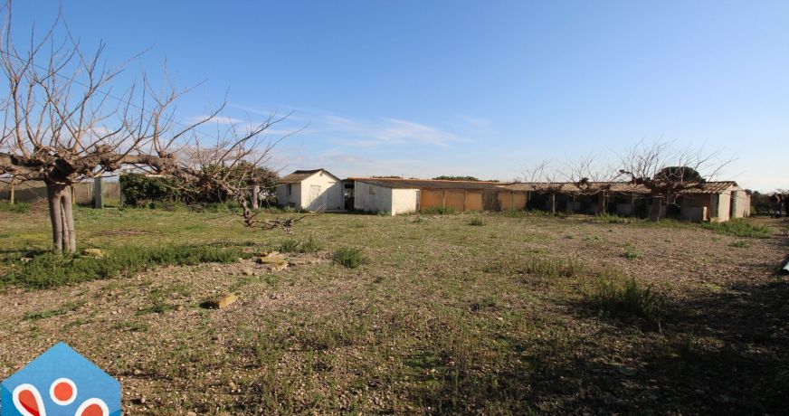 vente Ensemble immobilier Sauvian