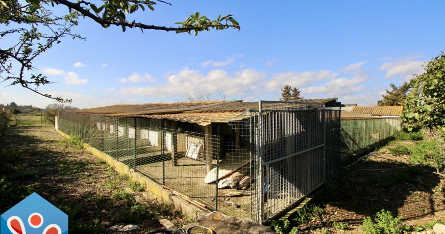 vente Ensemble immobilier Sauvian