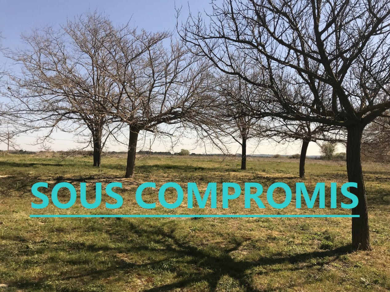 vente Maison Boujan Sur Libron - Photo 3