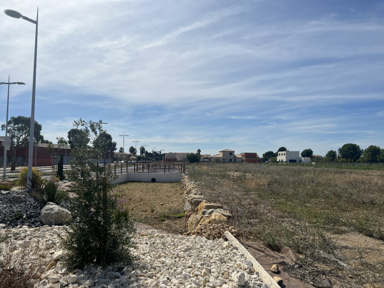 vente Terrain Vendres - Photo 3