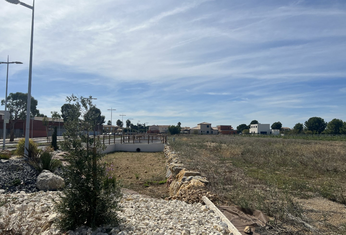 vente Terrain Vendres - Photo 3