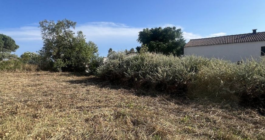 vente Terrain constructible Vendres
