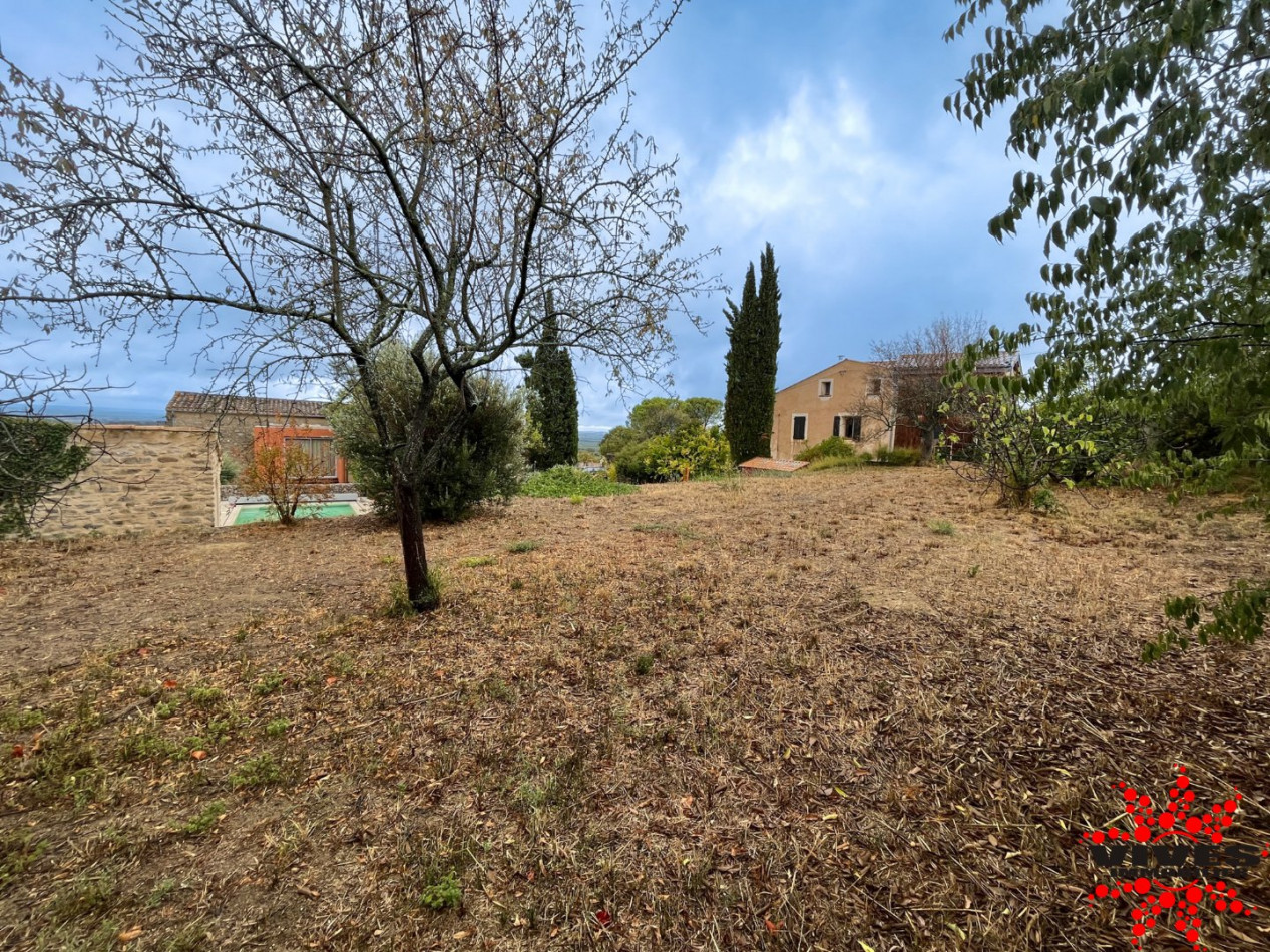 vente Terrain constructible Azillanet - Photo 4