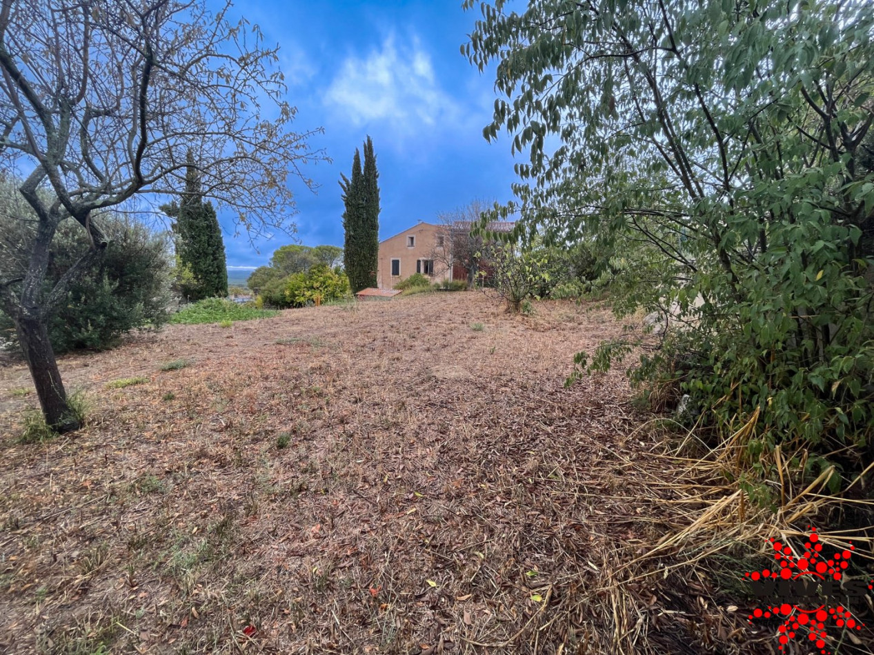 vente Terrain constructible Azillanet - Photo 5