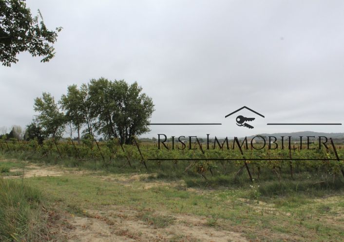 vente Terrain agricole Peyriac De Mer