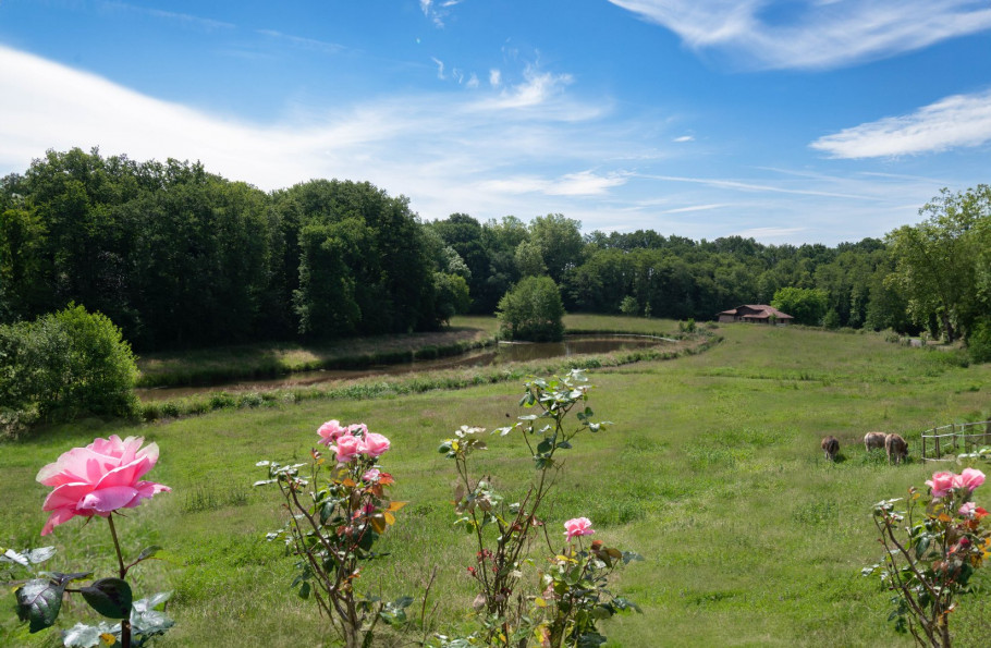 vente Maison Hossegor - Photo 3