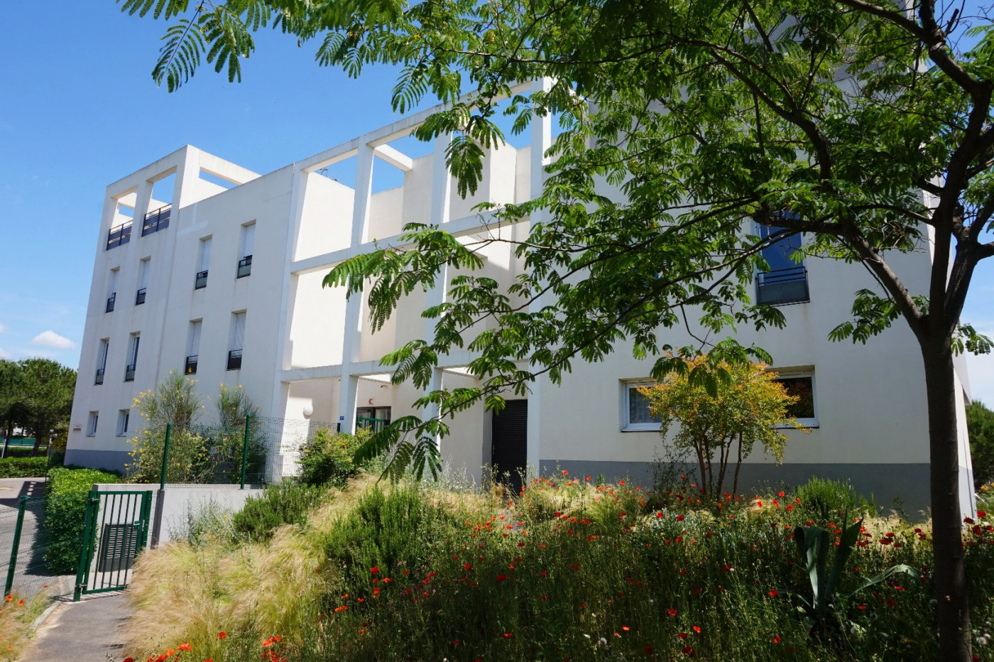 à vendre Appartement Montpellier - Photo 1