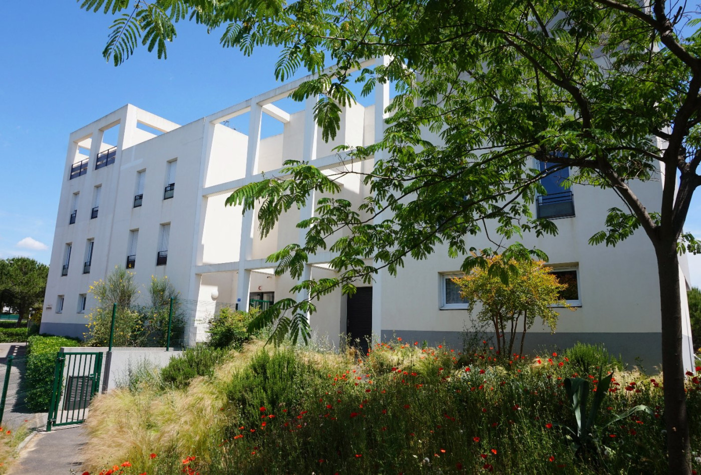 vente Appartement Montpellier - Photo 1