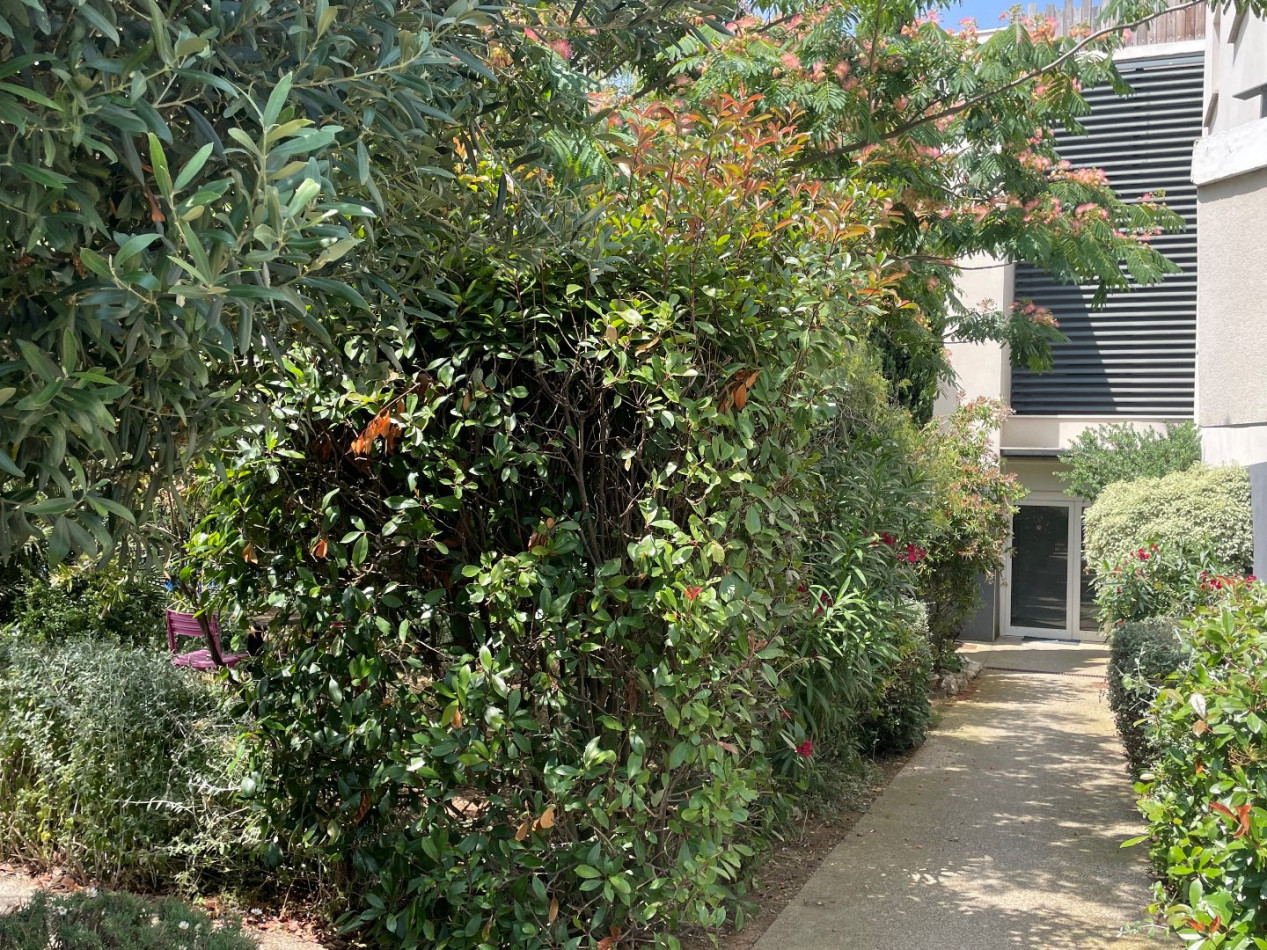 à vendre Appartement Agde - Photo 1