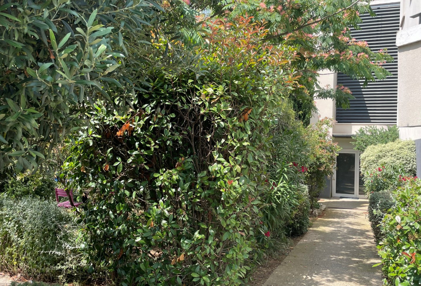 vente Appartement Agde - Photo 1