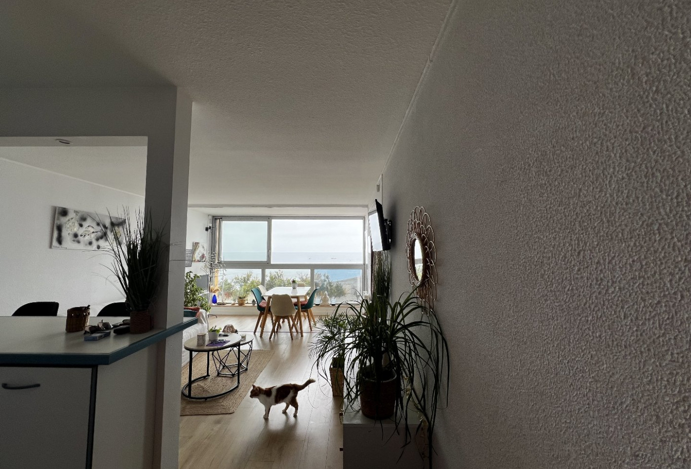 vente Appartement Grau D'agde - Photo 2