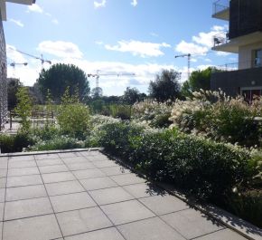 vente Montpellier