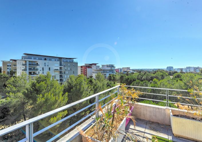 vente Appartement Montpellier