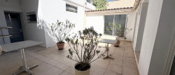 vente Immeuble Montpellier