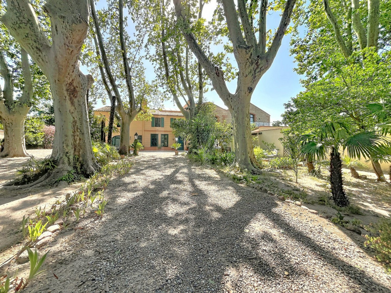 vente Toulouges - Photo 1