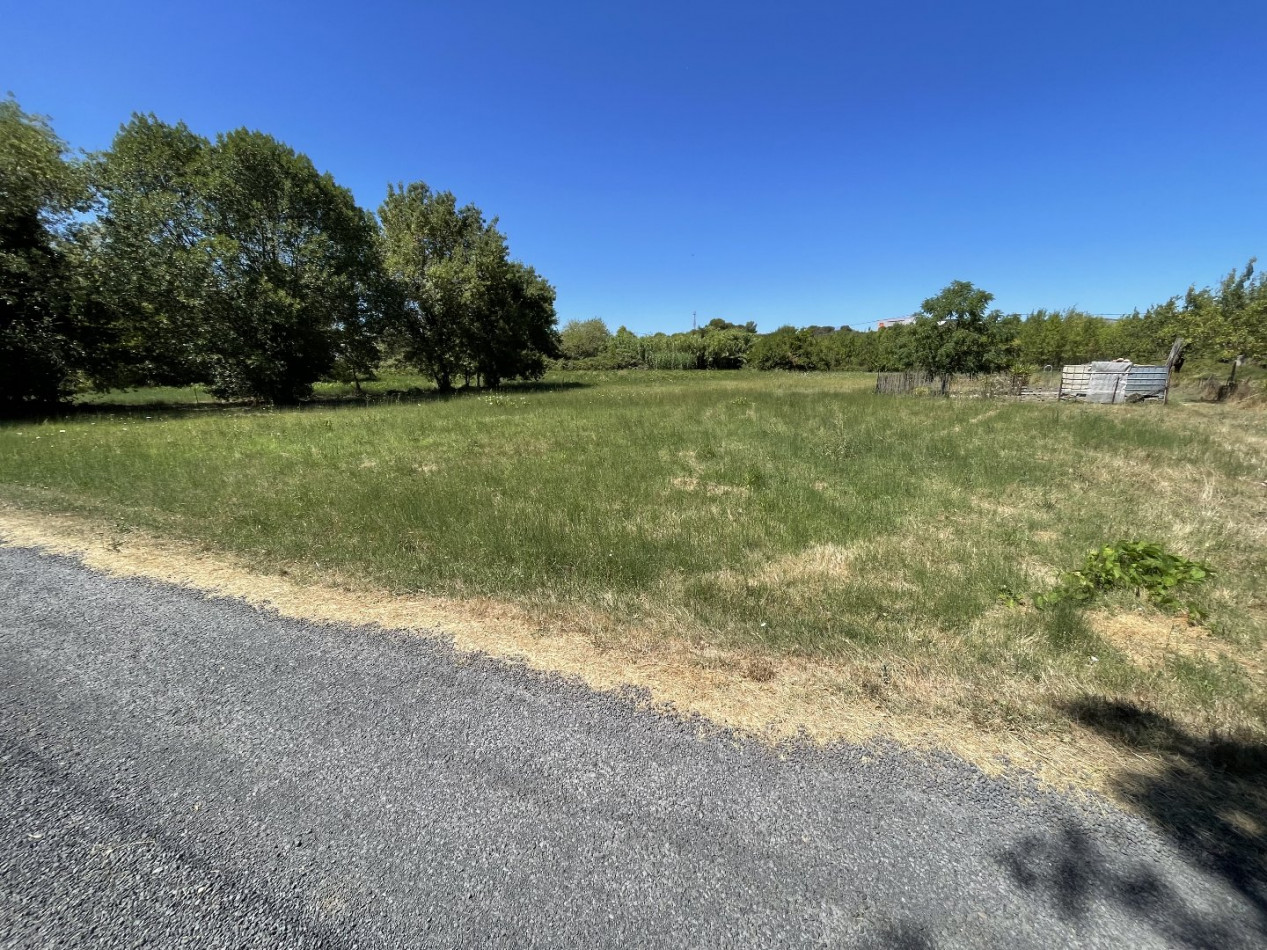 vente Terrain agricole Bessan - Photo 2