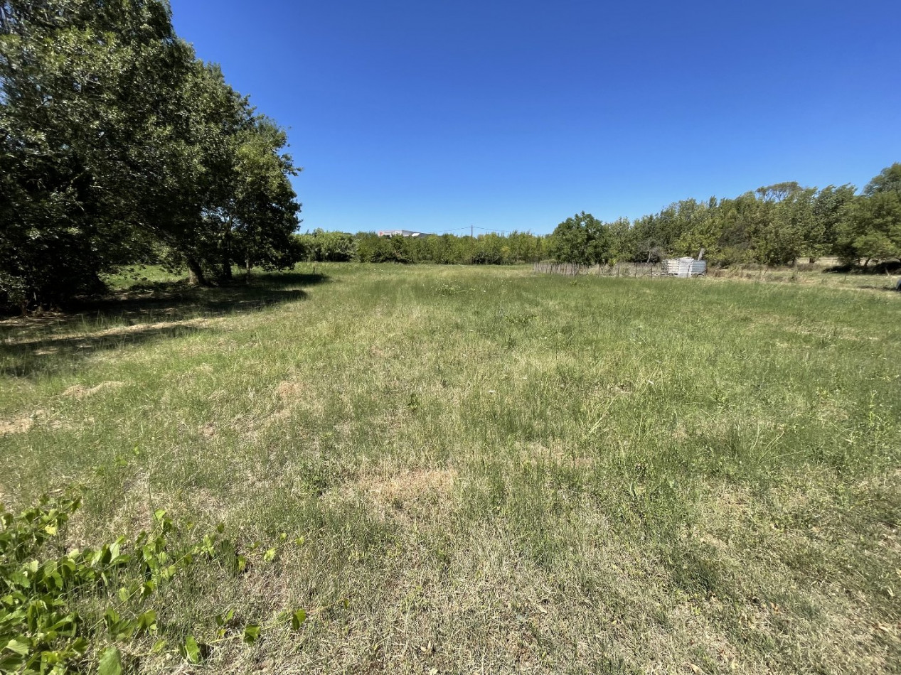 vente Terrain agricole Bessan - Photo 1