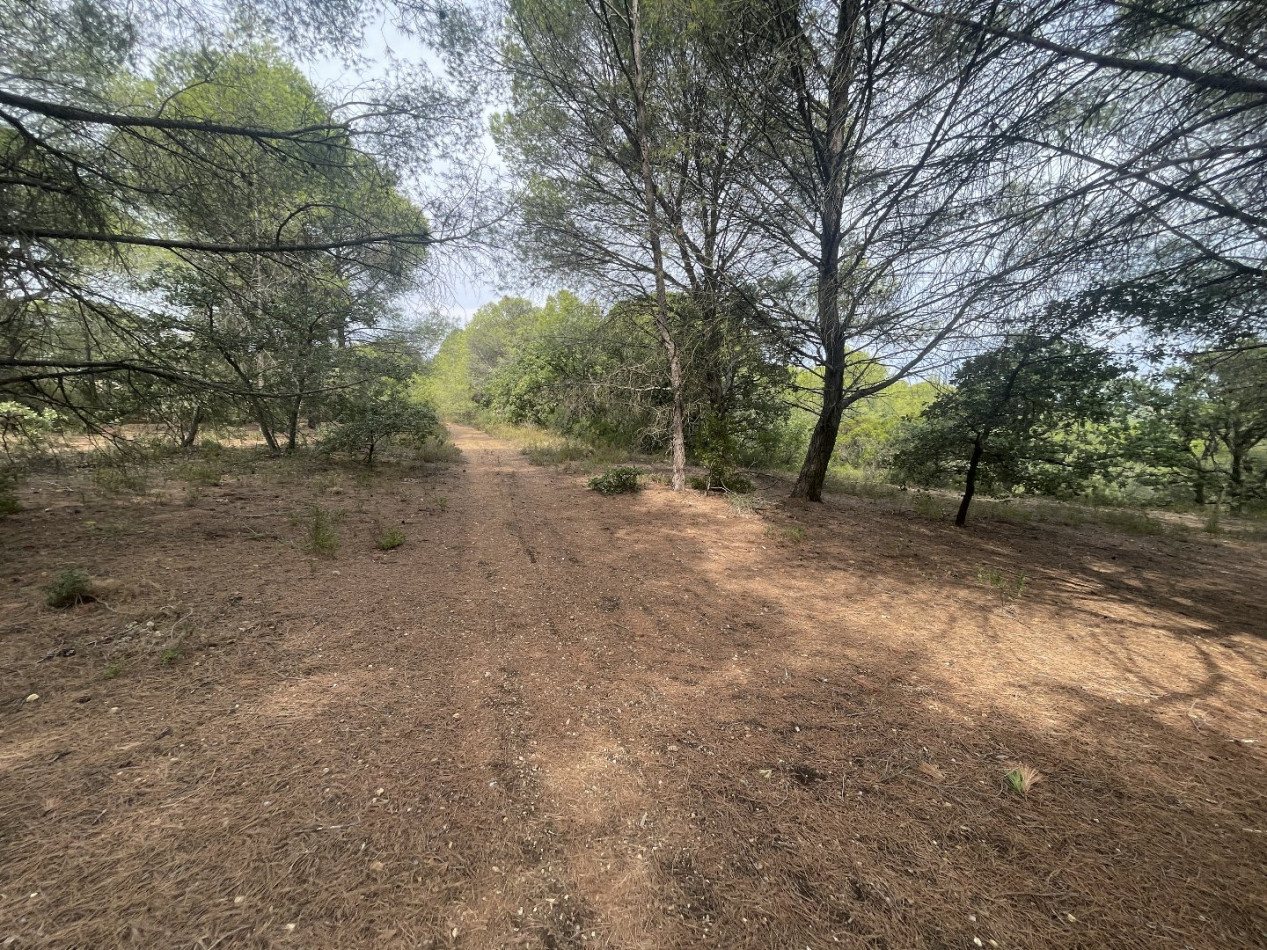 vente Terrain Saint Thibery - Photo 1