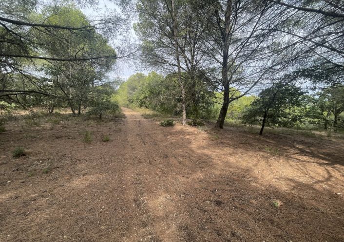 vente Terrain Saint Thibery