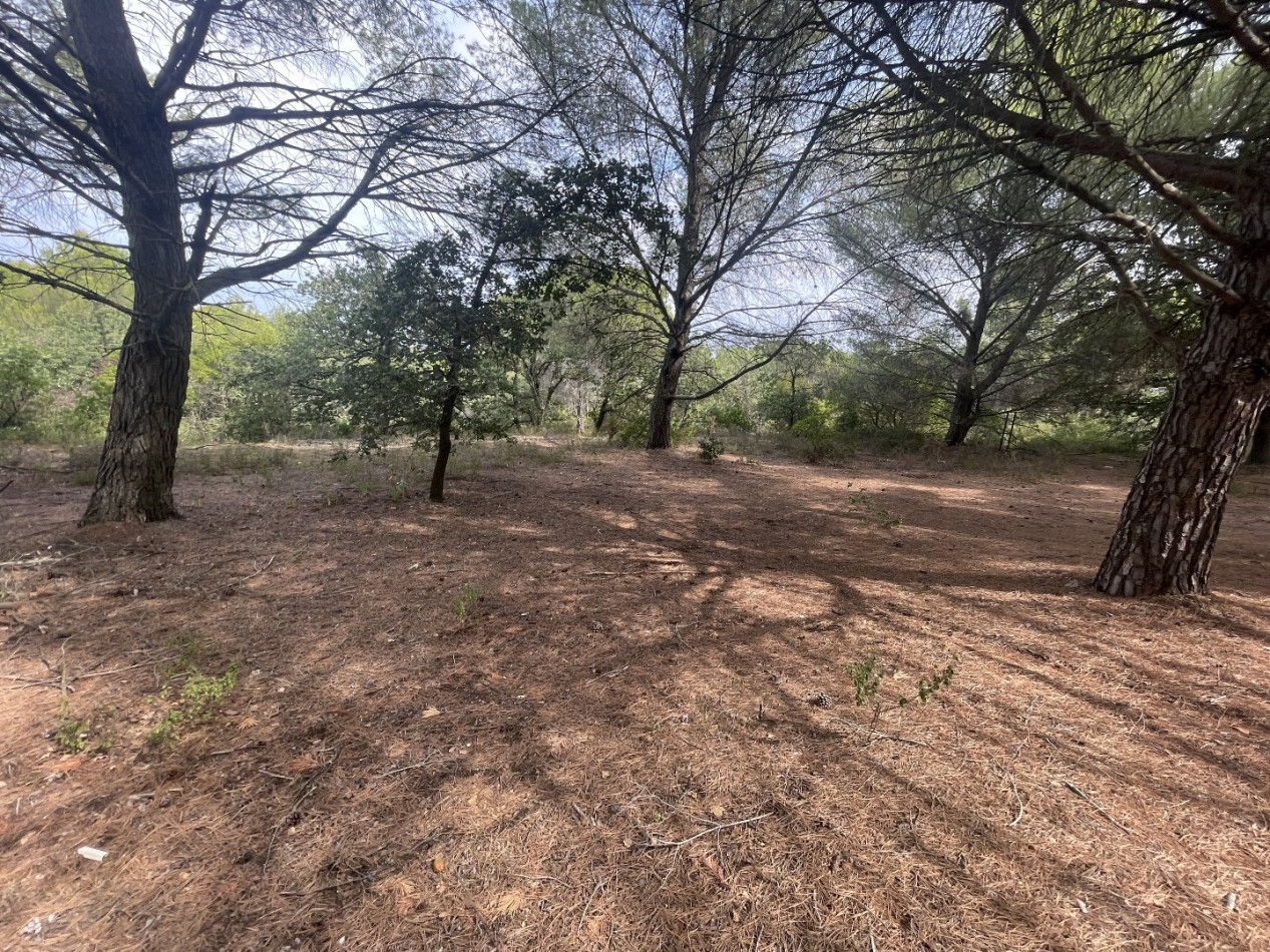 vente Terrain Saint Thibery - Photo 2