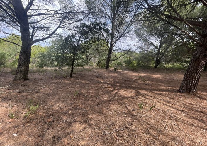 vente Terrain Saint Thibery