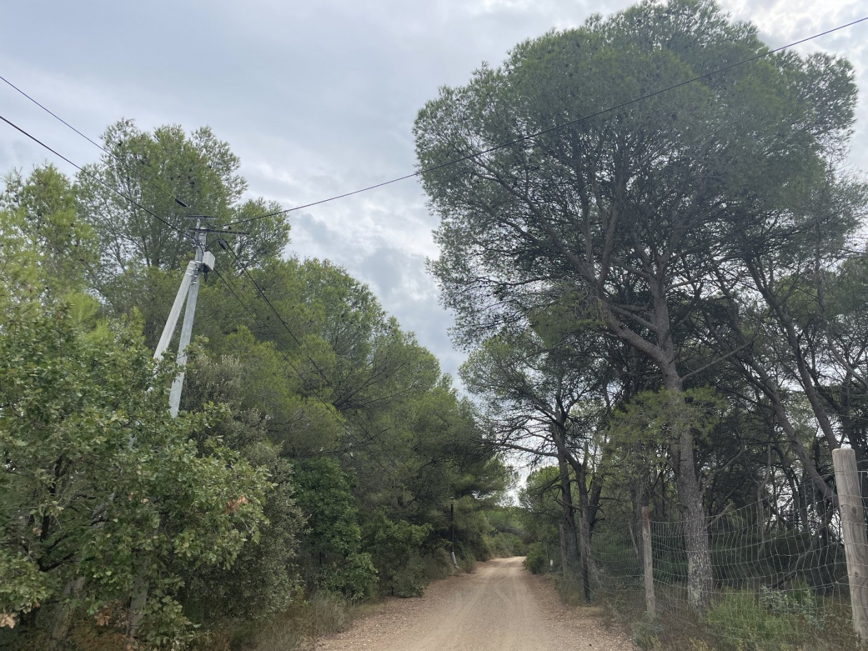 vente Terrain Saint Thibery - Photo 6