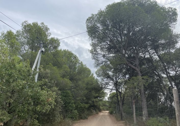 vente Terrain Saint Thibery