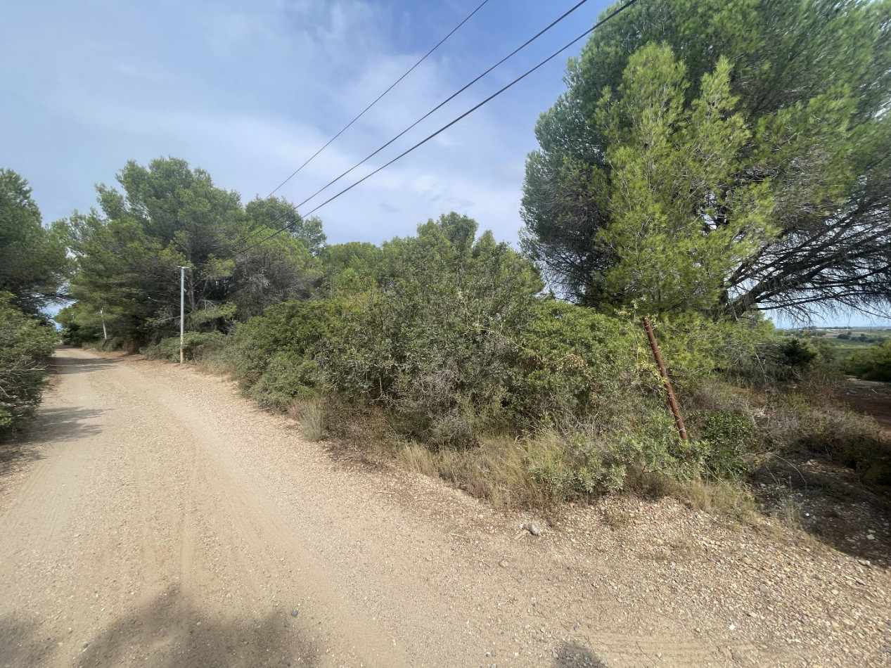 vente Terrain Saint Thibery - Photo 4