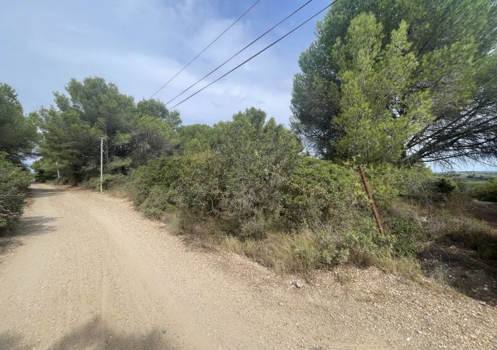 vente Terrain Saint Thibery