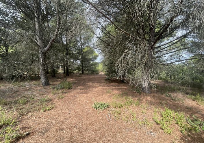 vente Terrain Saint Thibery