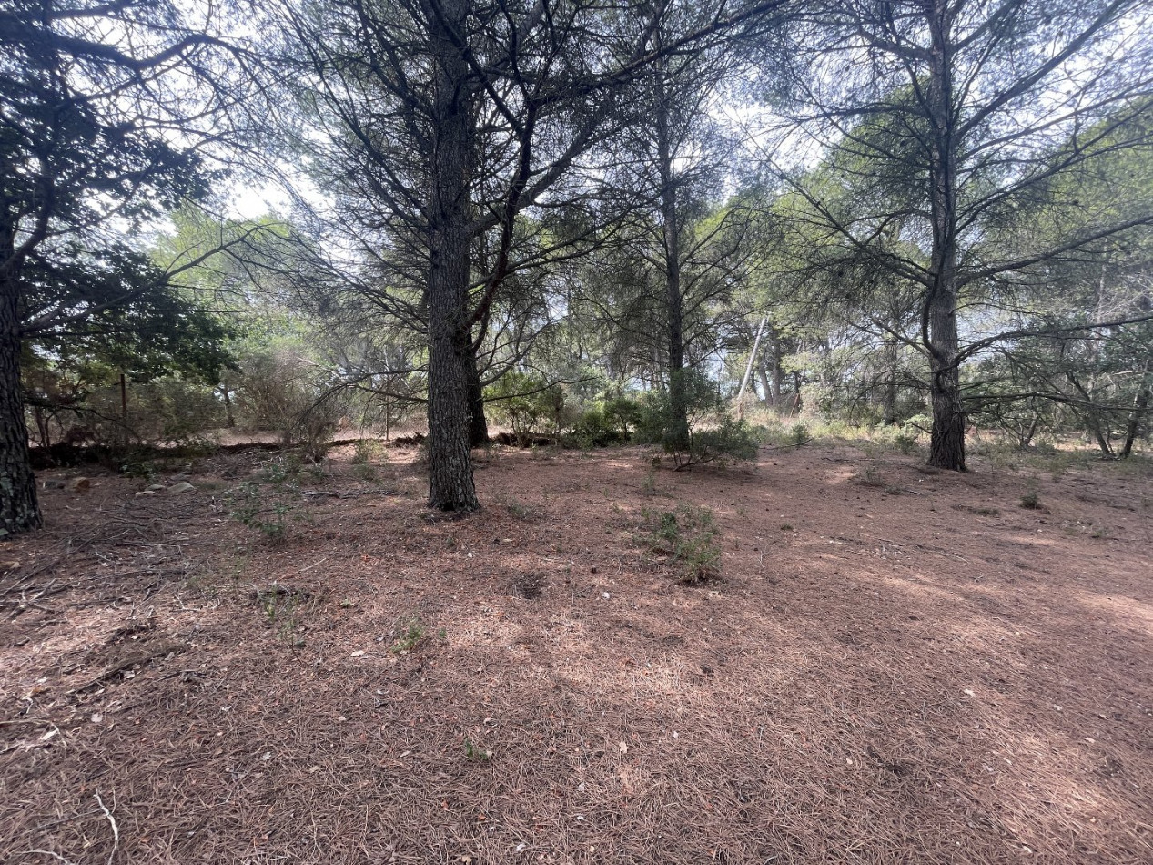 vente Terrain Saint Thibery - Photo 5