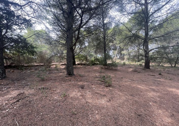 vente Terrain Saint Thibery