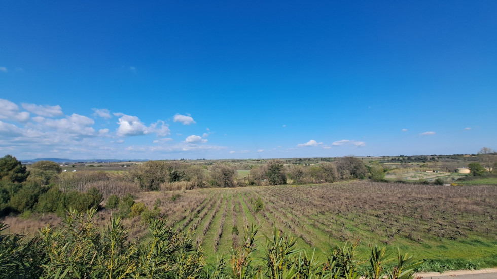 vente Maison Abeilhan - Photo 1