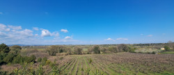 vente Maison Abeilhan