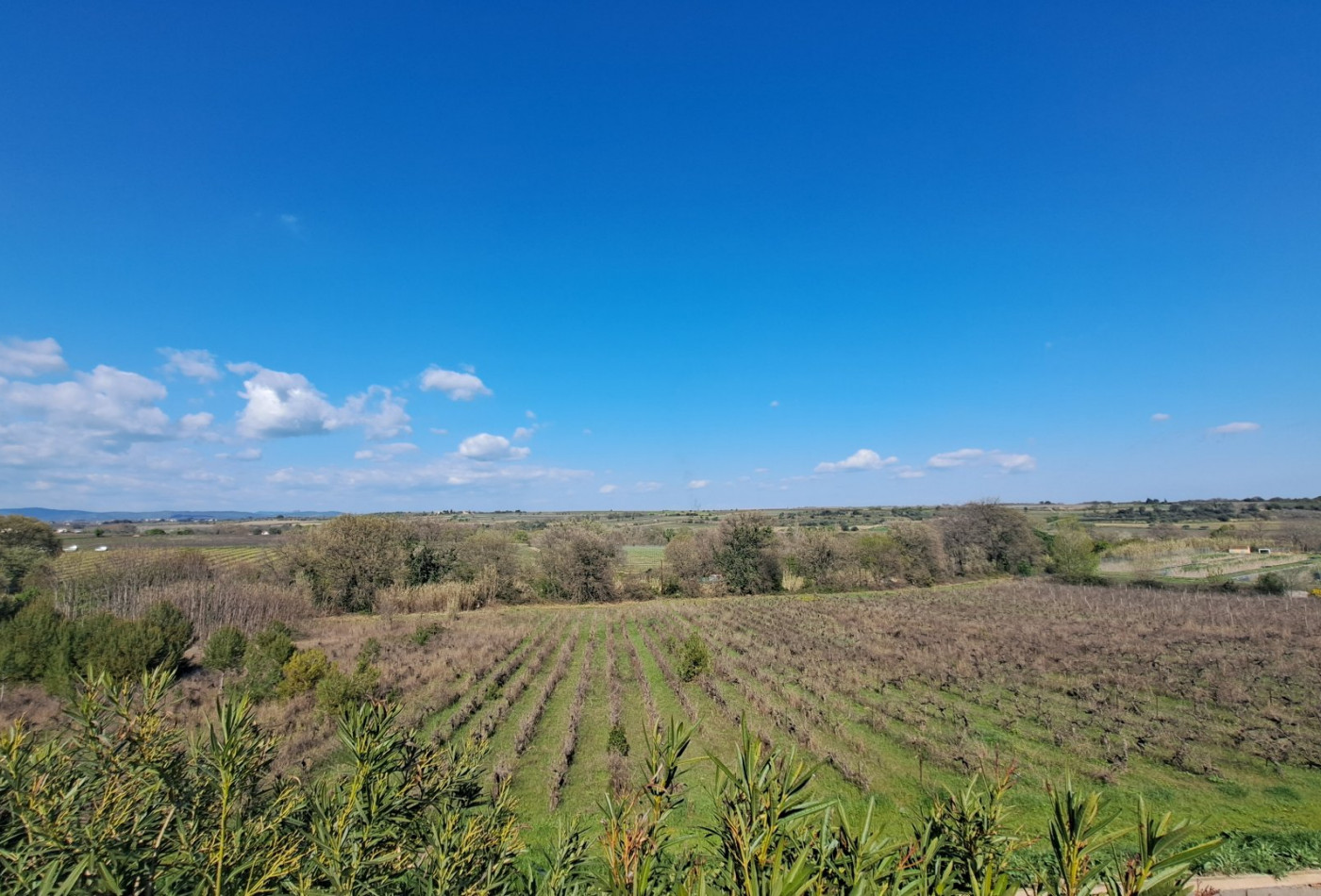 vente Maison Abeilhan - Photo 10