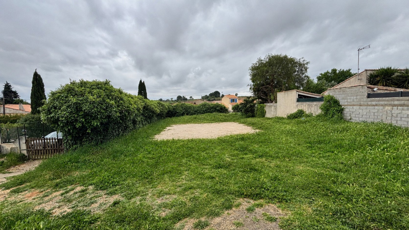 vente Maison Pinet - Photo 1