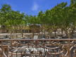 vente Appartement Florensac