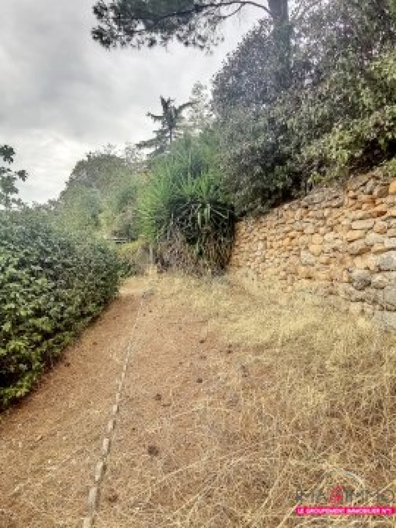 à vendre Villa Saint Georges D'orques - Photo 6