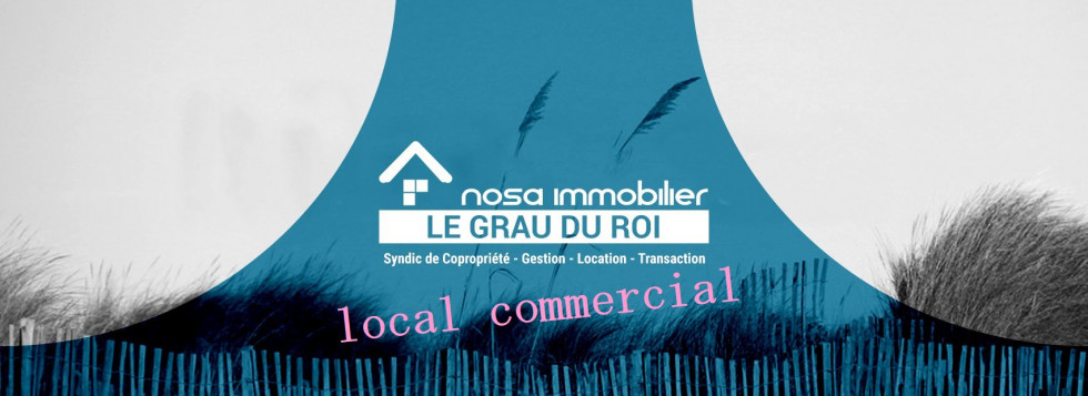 location Local commercial Le Grau Du Roi