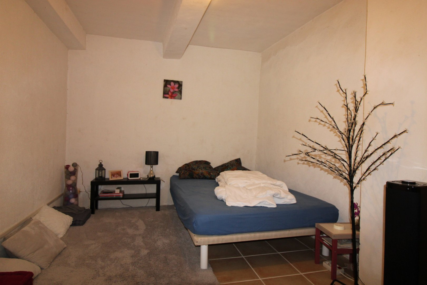 vente Maison Capestang - Photo 4