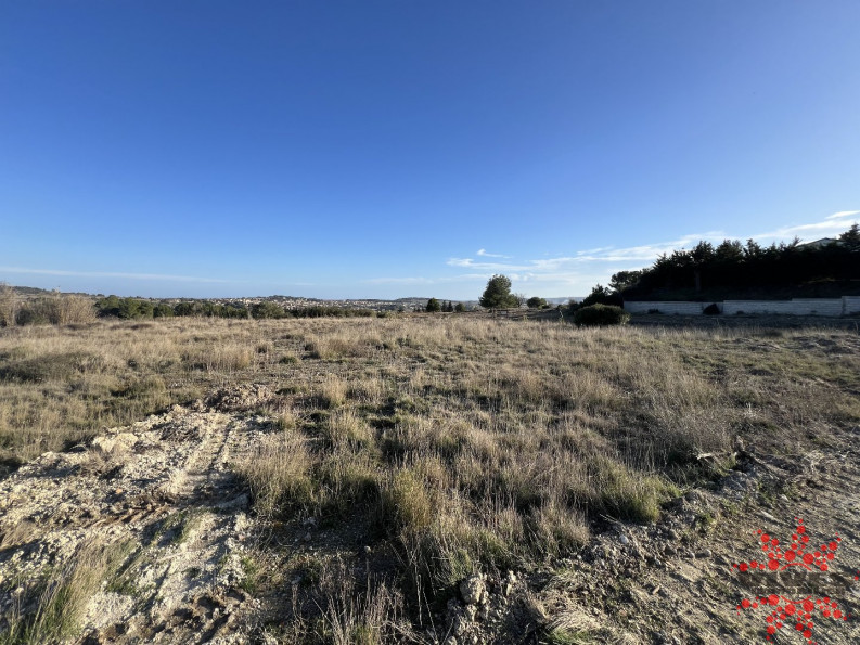 vente Terrain agricole Lespignan - Photo 2