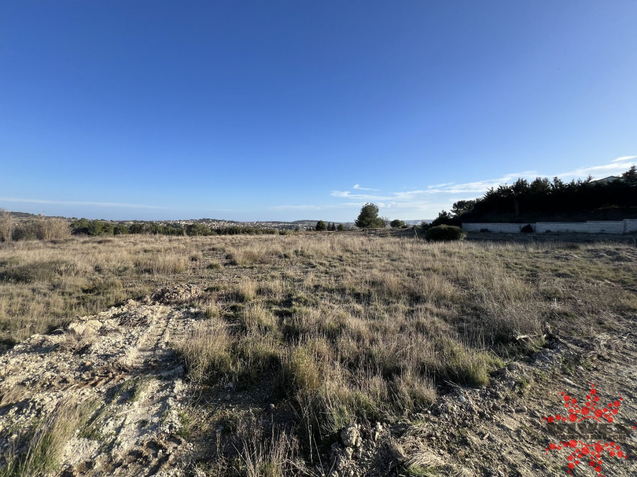 sale Terrain agricole Lespignan - Photo 2