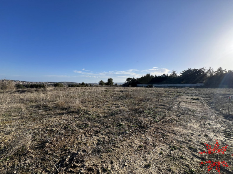 vente Terrain agricole Lespignan - Photo 1