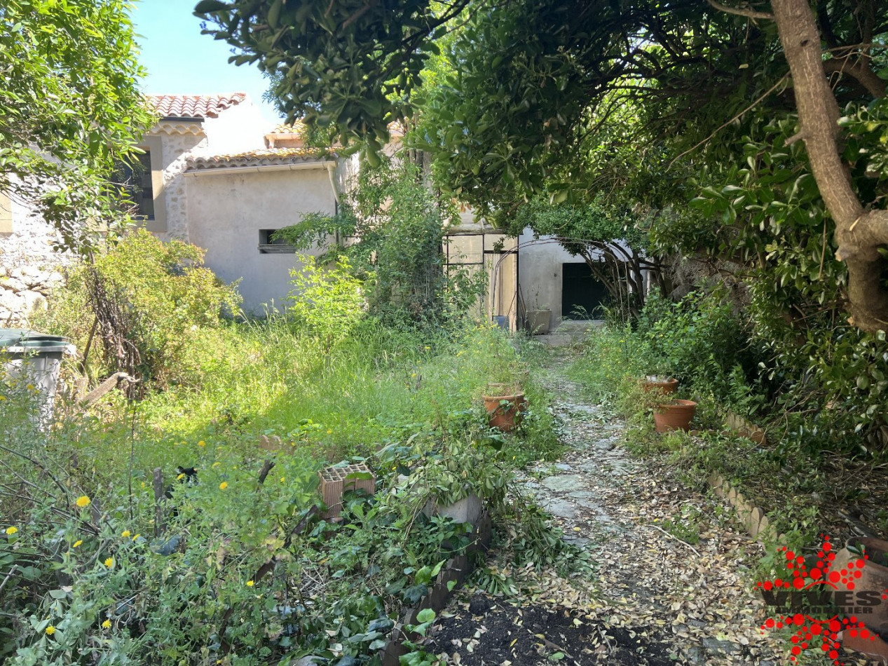 sale Maison Lespignan - Photo 1