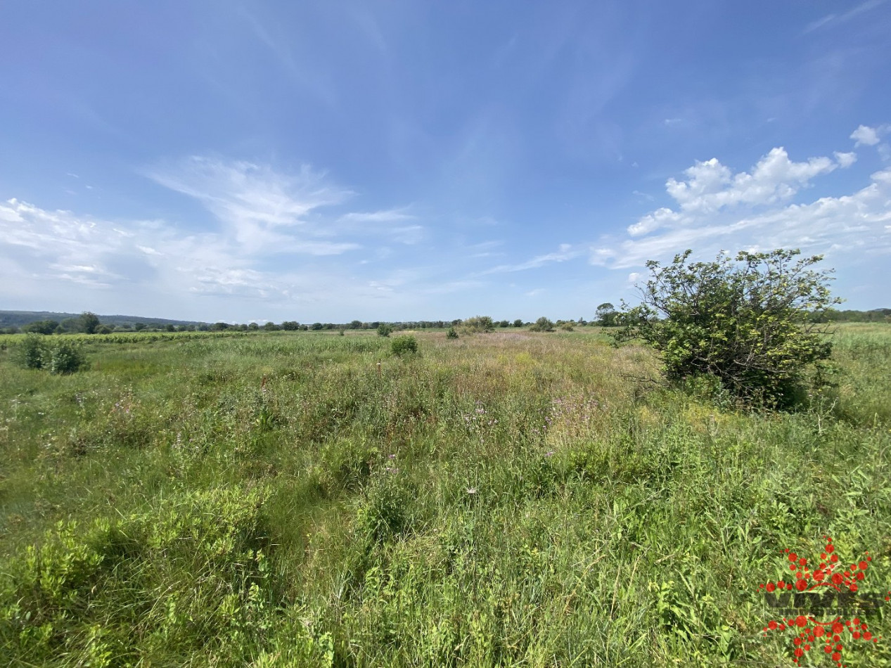 vente Terrain agricole Lespignan - Photo 1