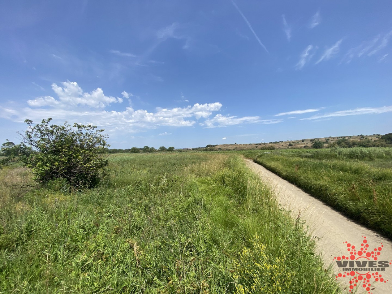 vente Terrain agricole Lespignan - Photo 2