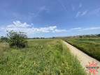 vente Terrain agricole Lespignan