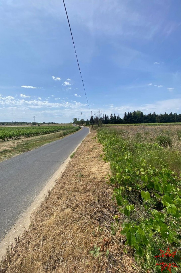 vente Terrain agricole Lespignan - Photo 2