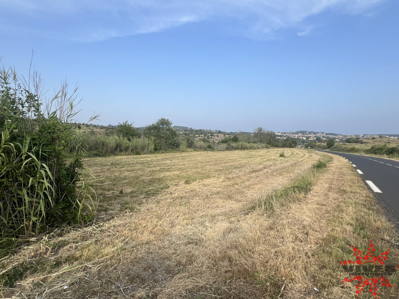 vente Terrain agricole Lespignan - Photo 1